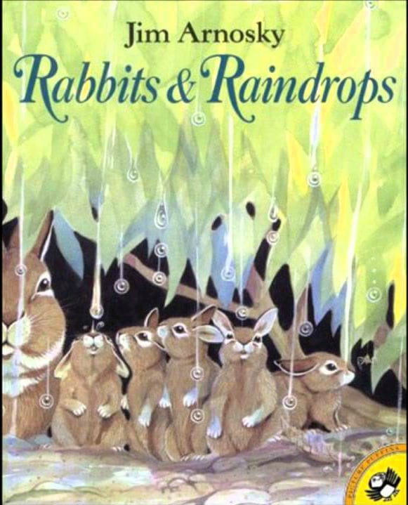 Rabbits and Raindrops cover